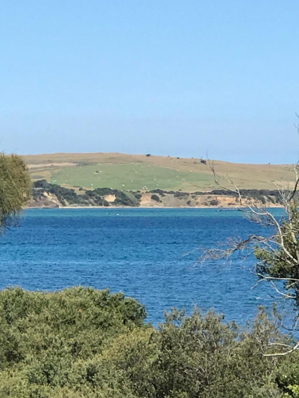 Bunya By The Sea Villa Cape Woolamai Екстериор снимка